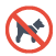 no-pet-allowed